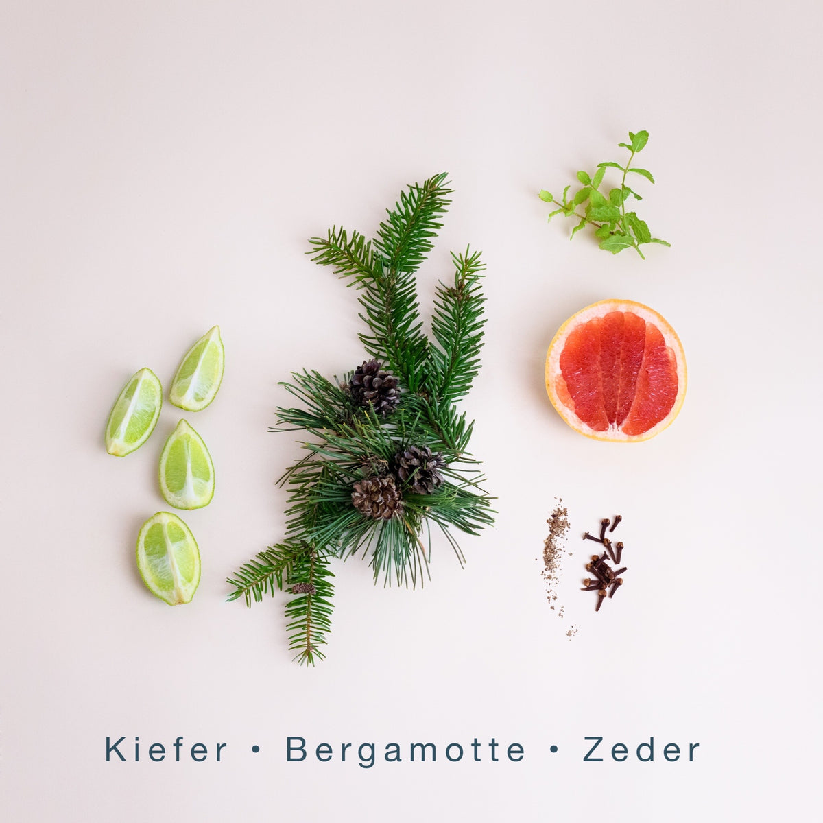 DUFTKERZE WINTER WALK: KIEFER / BERGAMOTTE / ZEDER
