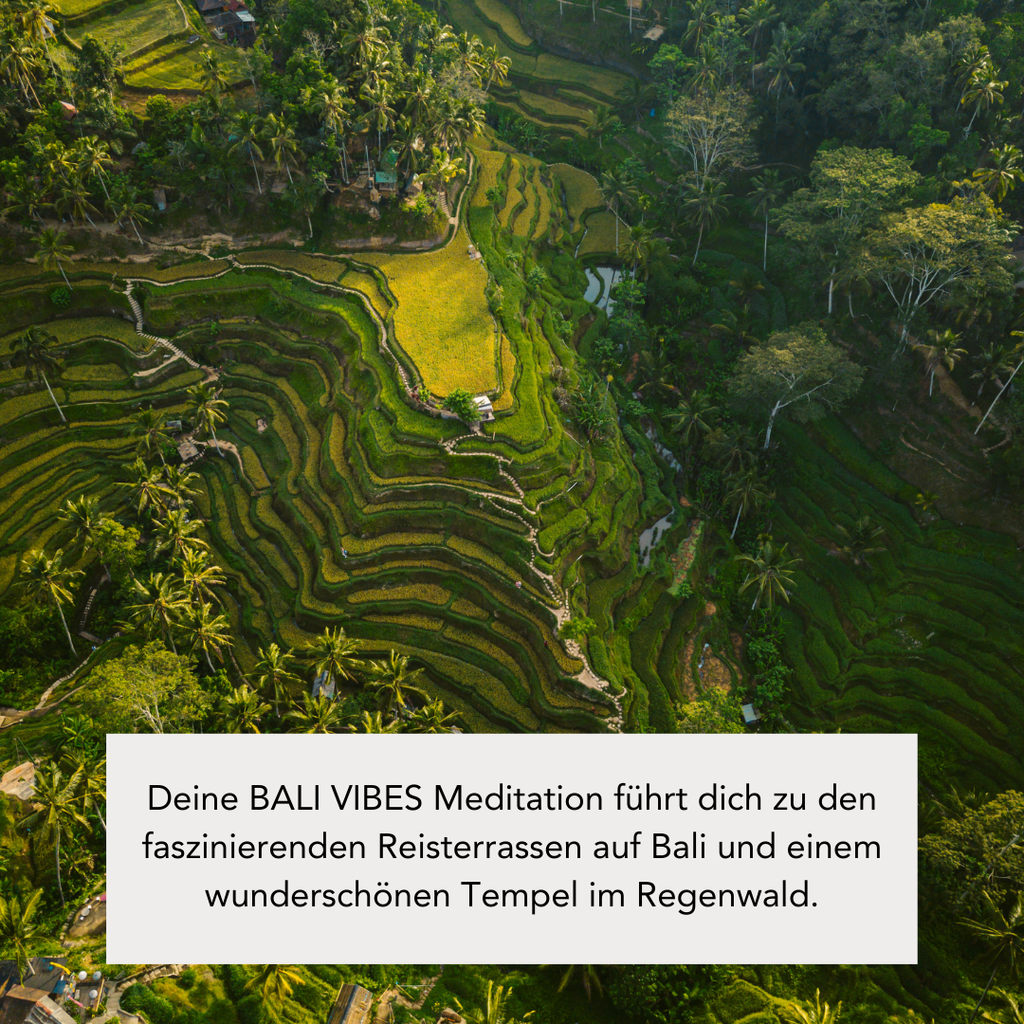 BALI VIBES (300g Kerze) MEDITATION: Bali Reise