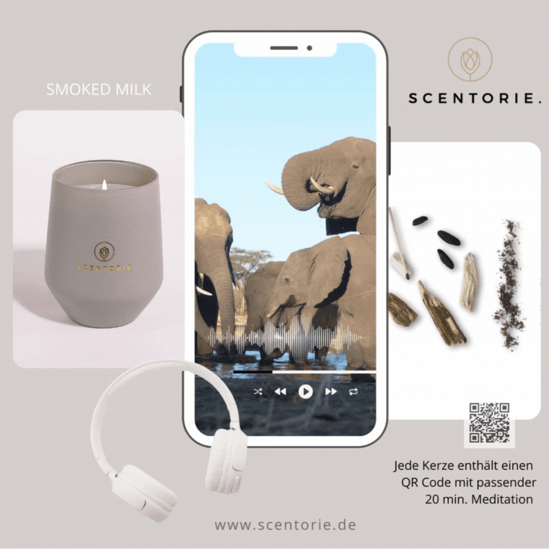 SMOKED MILK (300g Kerze) MEDITATION: Safari durch Afrika