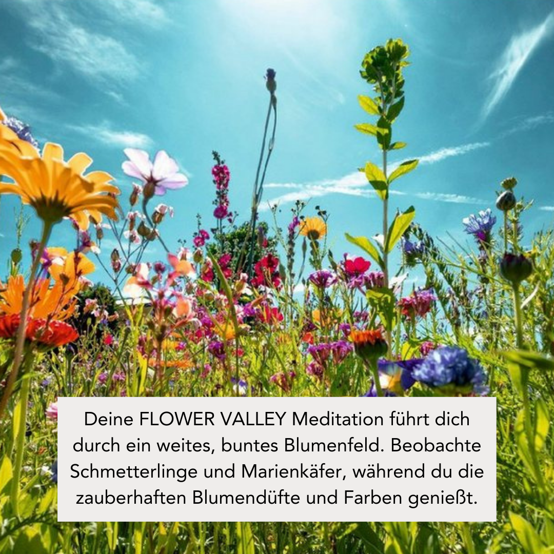 FLOWER VALLEY (300g Kerze) MEDITATION: Blumenfeld Spaziergang