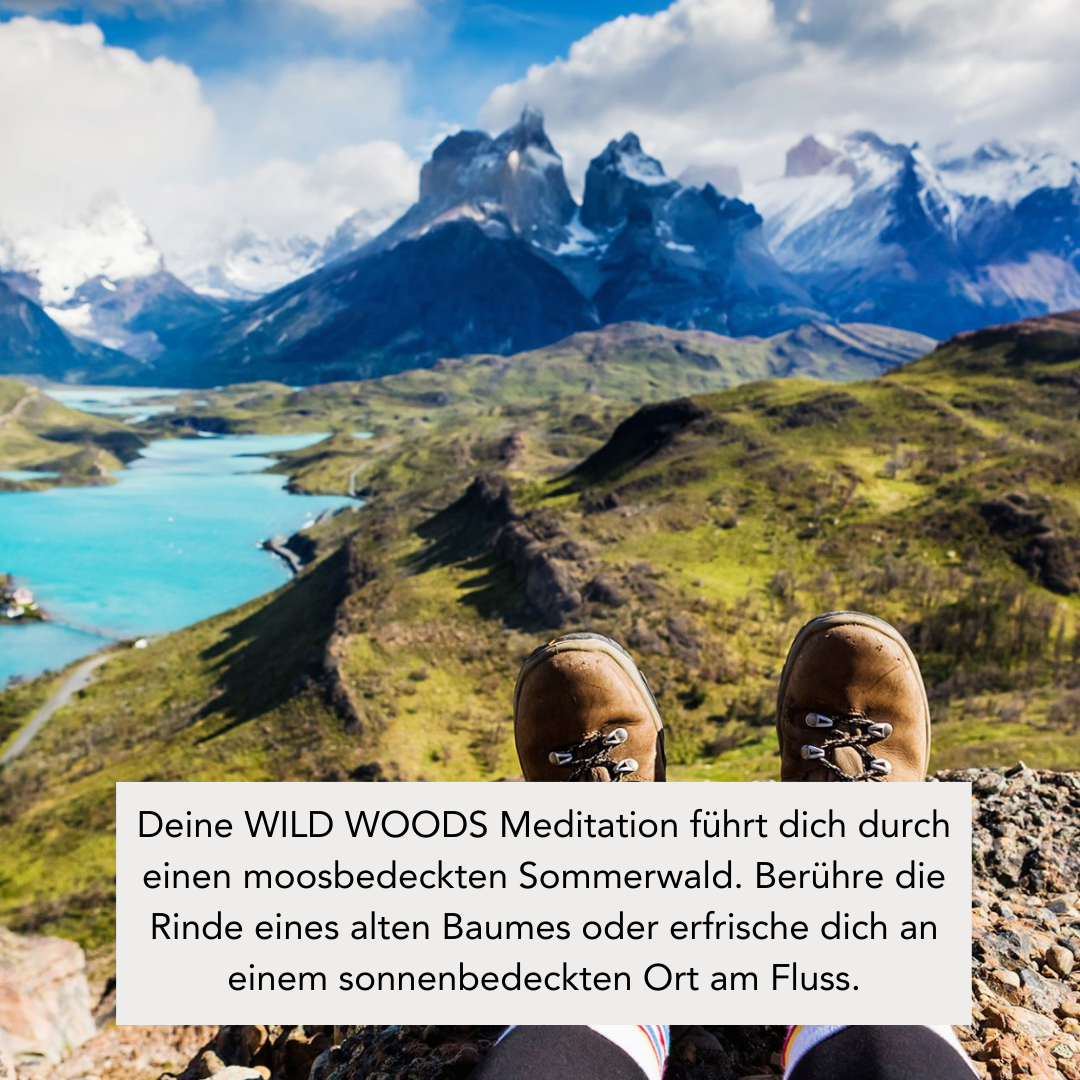 WILD WOODS (110g Duftkerze mit Holzdocht)