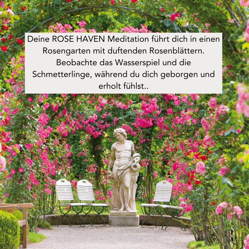 ROSE HAVEN (300g Kerze) MEDITATION: Englischer Rosengarten