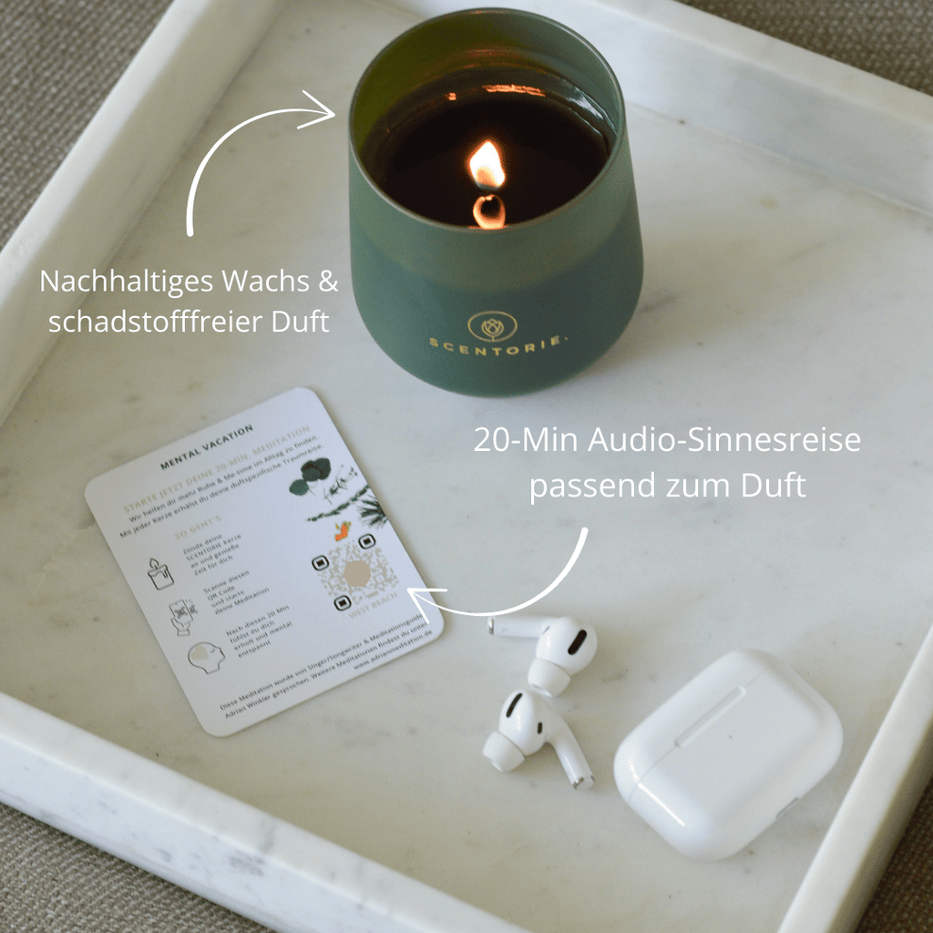 WILD WOODS (300g Kerze) MEDITATION: Alpenüberquerung