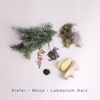 WILD WOODS (110g Duftkerze mit Holzdocht)