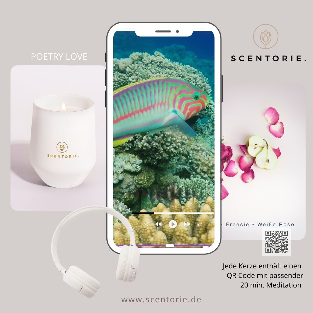 POETRY LOVE (300g Kerze) MEDITATION: Tauchgang zum Korallenriff
