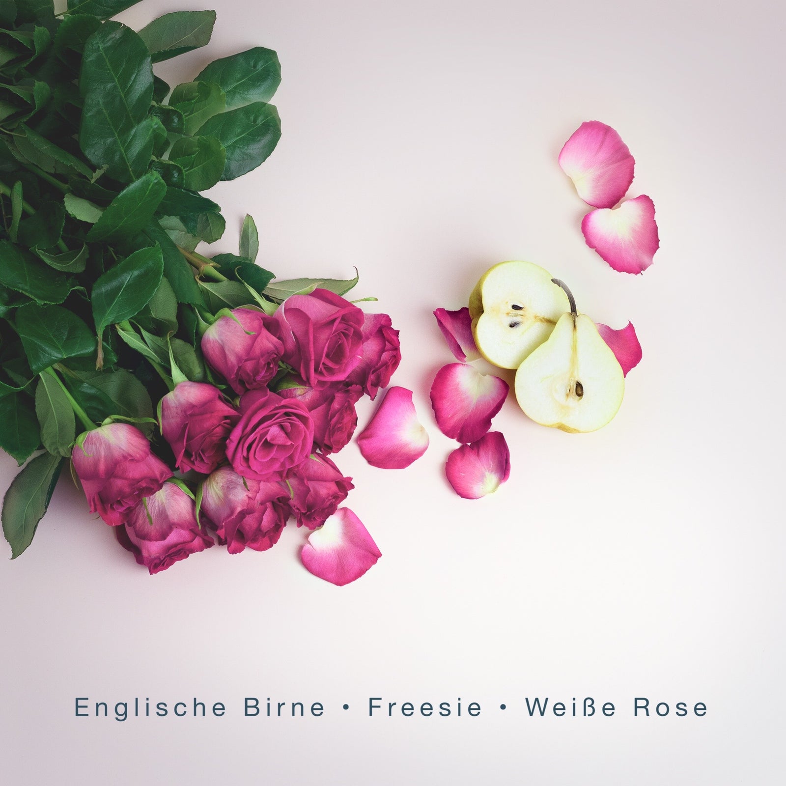 POETRY LOVE (300g Kerze) MEDITATION: Tauchgang zum Korallenriff