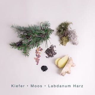 WILD WOODS (300g Kerze) MEDITATION: Alpenüberquerung