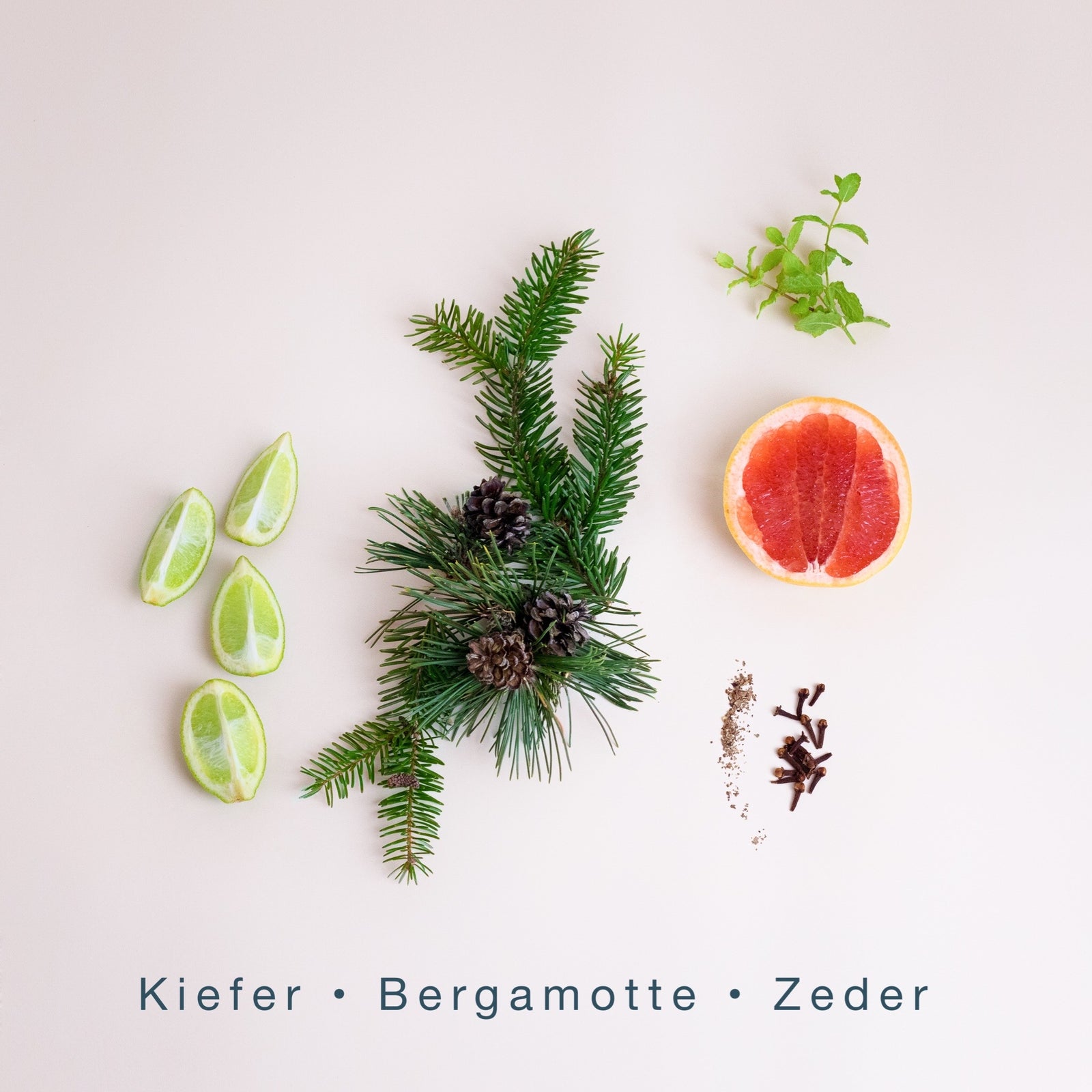 WINTER WALK (300g Kerze) MEDITATION: Winterwald Spaziergang